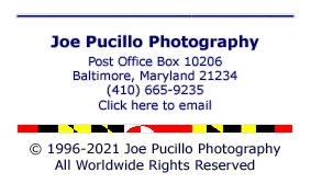 Copyright - Joe Pucillo Photography